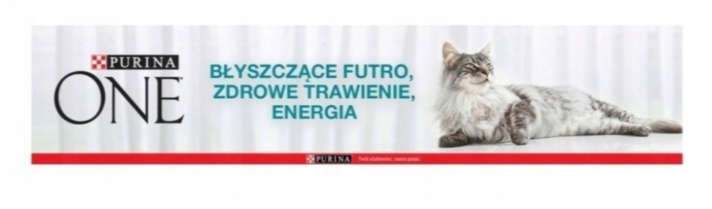 Optymalne odżywienie dla starszych kotów