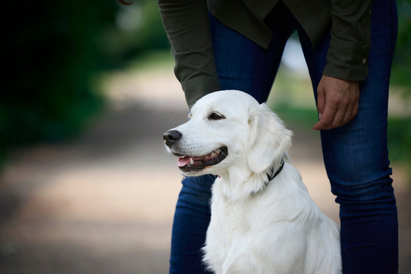 Zalecenia dotyczące karmienia