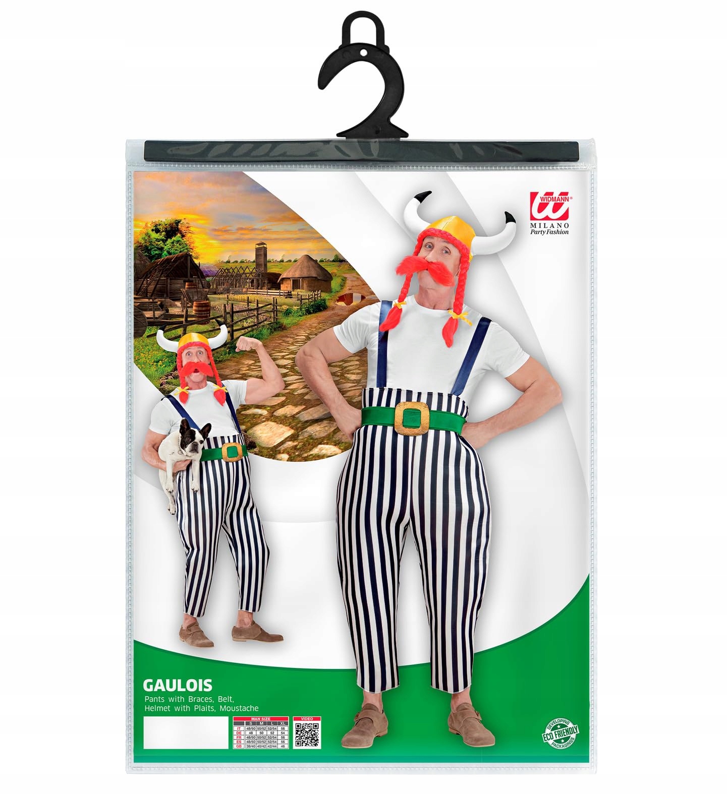 Obraz