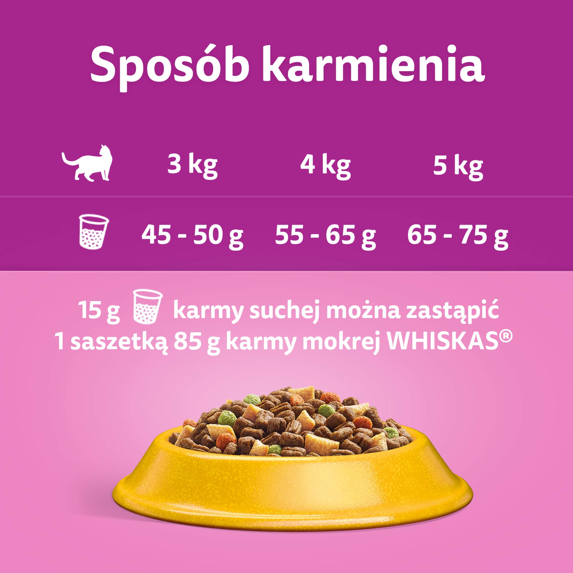 Przewodnik karmienia – jak dostosować dawki dla kota