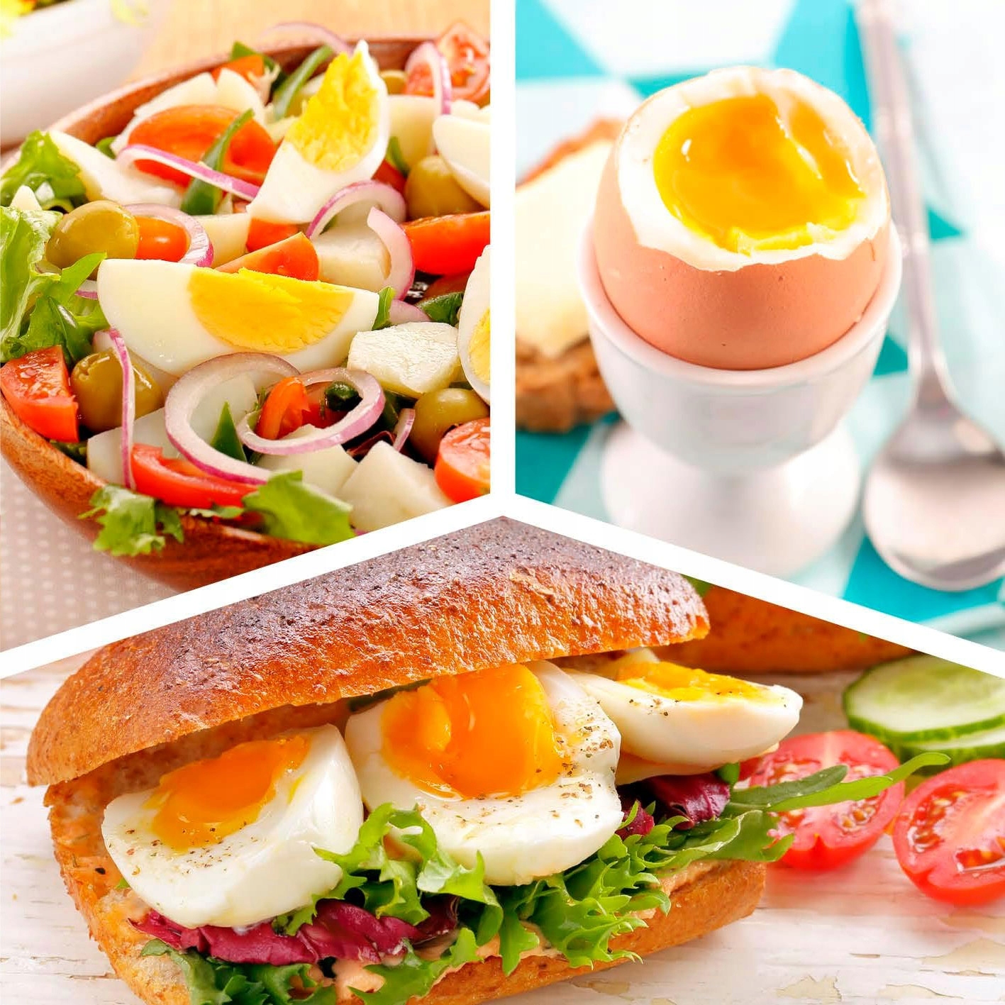 Łatwe czyszczenie – Możliwość mycia w zmywarce