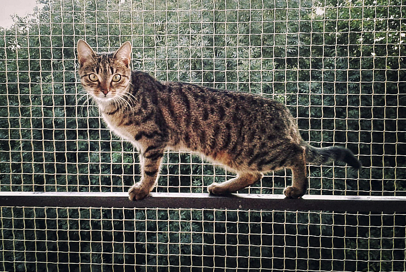 Właściwości Materiału – Odporność na Warunki Atmosferyczne