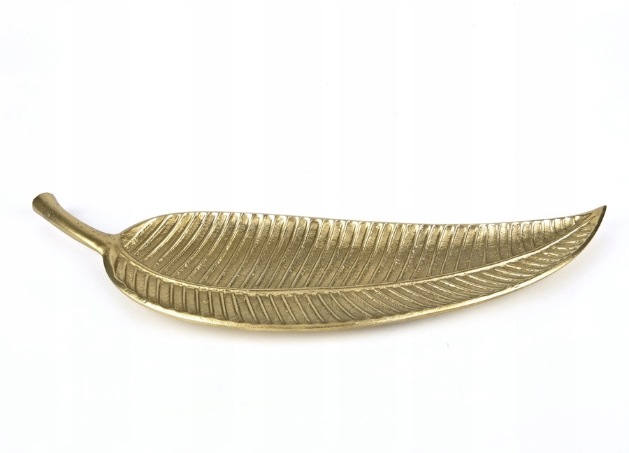 Wymiary i waga patery