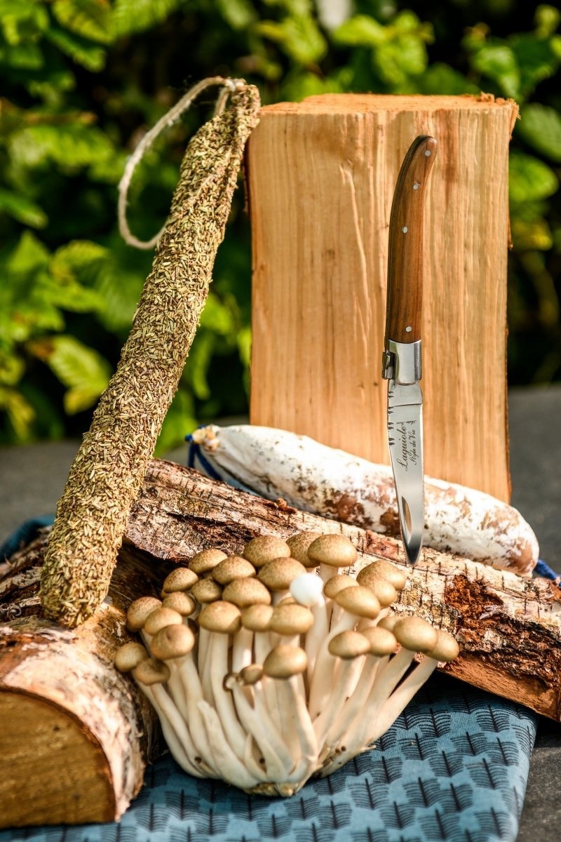 Wymiary i grubość ostrza – 6.5x16x3 cm, 2.5 mm