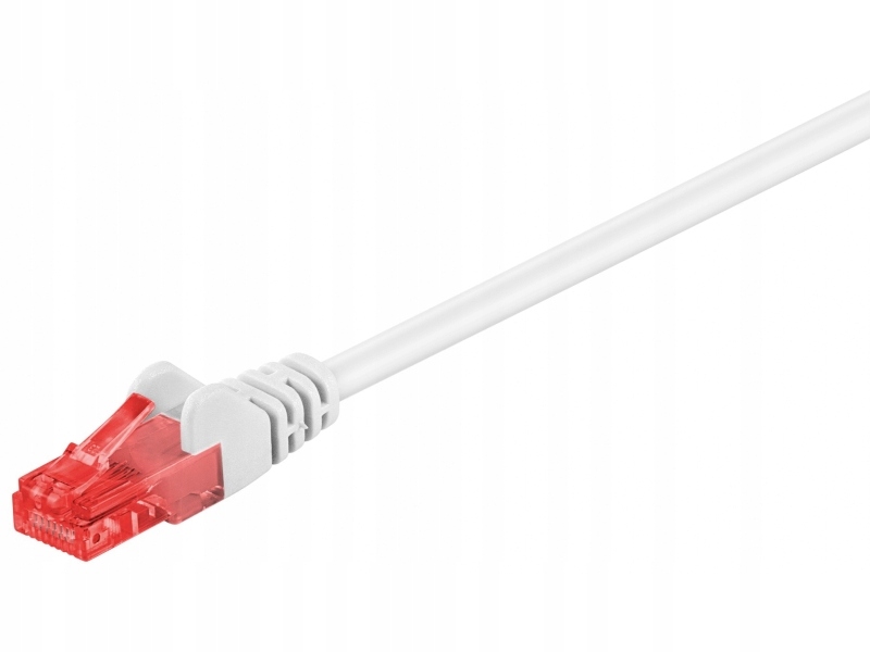 Kabel sieciowy RJ-45 25 cm - UTP - CAT 6 - biały (95257) – Idealne rozwiązanie dla Twojej sieci