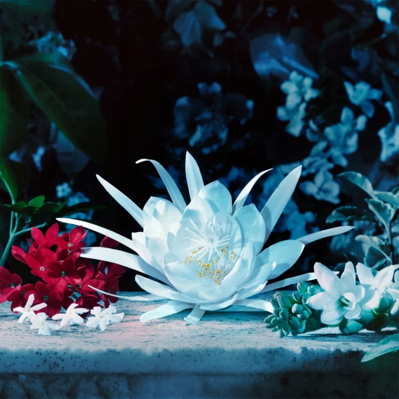 Nuty zapachowe: od gruszki po kokos