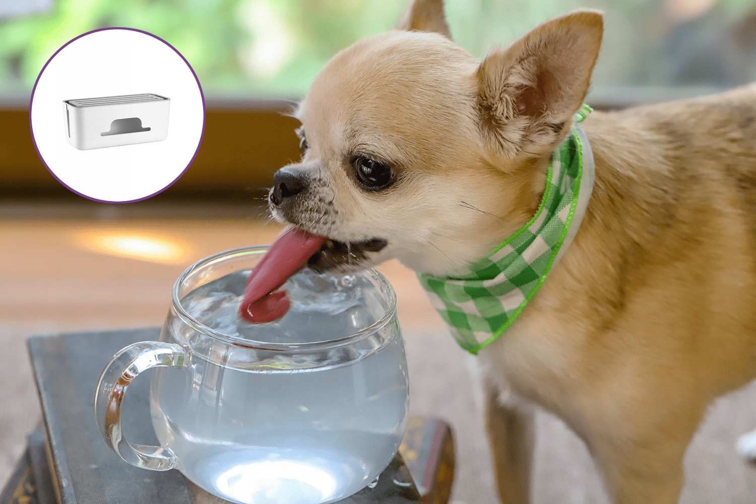 Ochrona listwy zasilającej przed wodą i kurzem