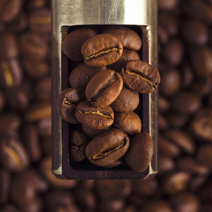 Cechy kawy – 100% Arabica i średni stopień palenia