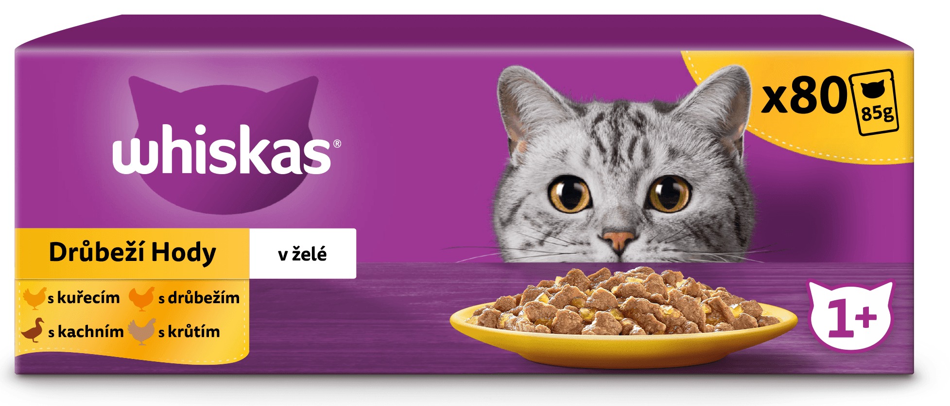 Zbilansowana dieta dla dorosłych kotów