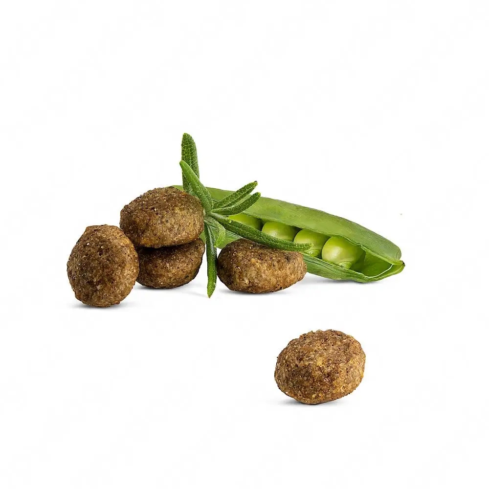 Wysoka zawartość białka zwierzęcego