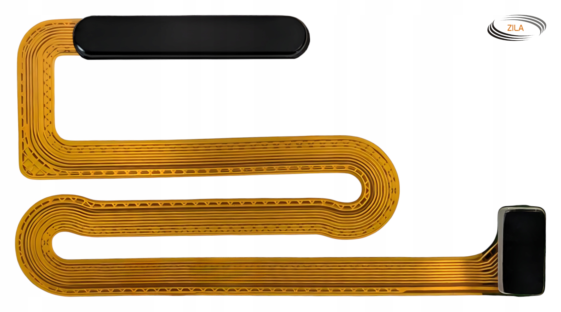 Biometryczne zabezpieczenie – Jak działa czytnik linii papilarnych?