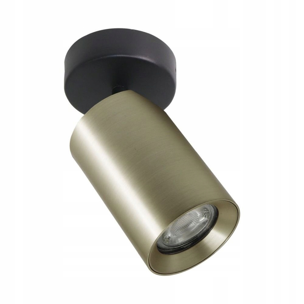 Lampa reflektor spot na 2 sposoby montażu TORE TLS006-GLD – Nowoczesne oświetlenie do każdego wnętrza