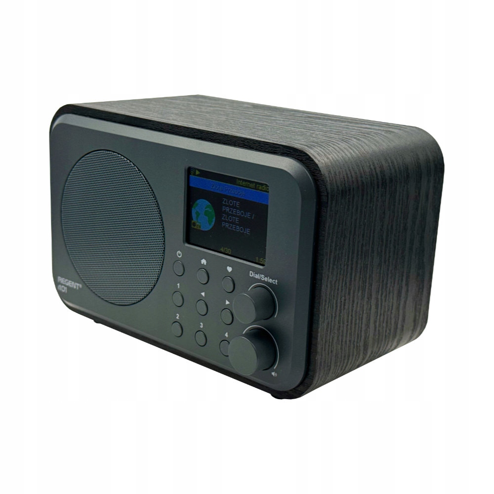 Radio internetowe Ferguson Regent i101 – Nowoczesne centrum audio w eleganckim wydaniu