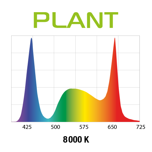 wykres plant