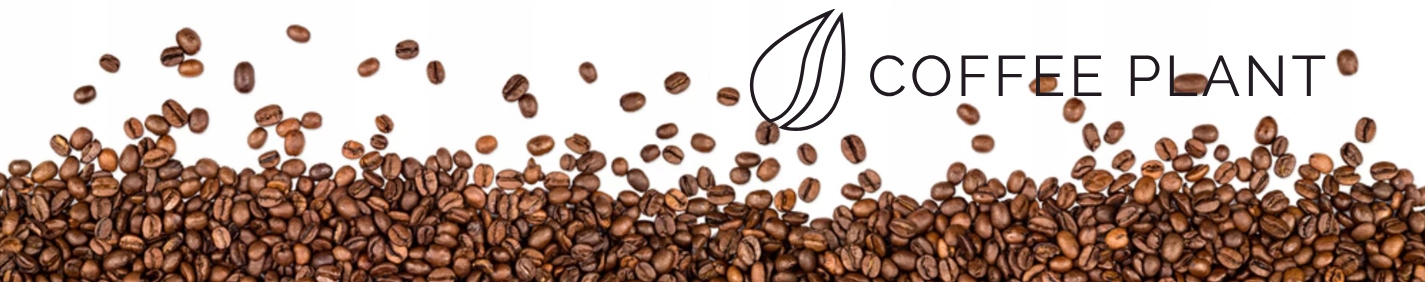 Wyjątkowy smak i aromat kawy Honduras La Paz Marcala