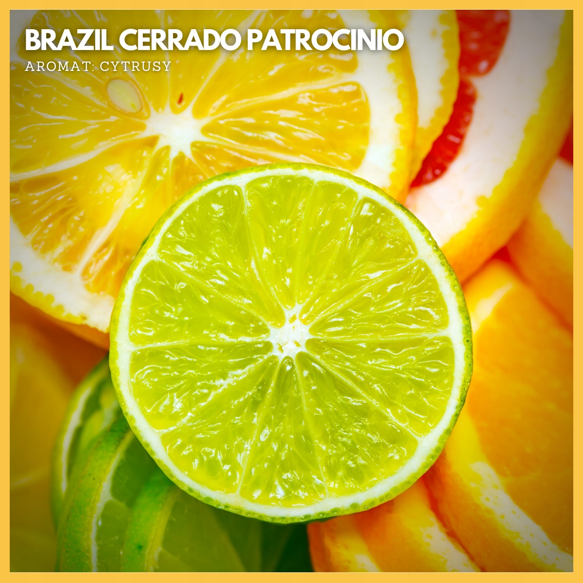 Profil smaku i kwasowości Brazil Cerrado