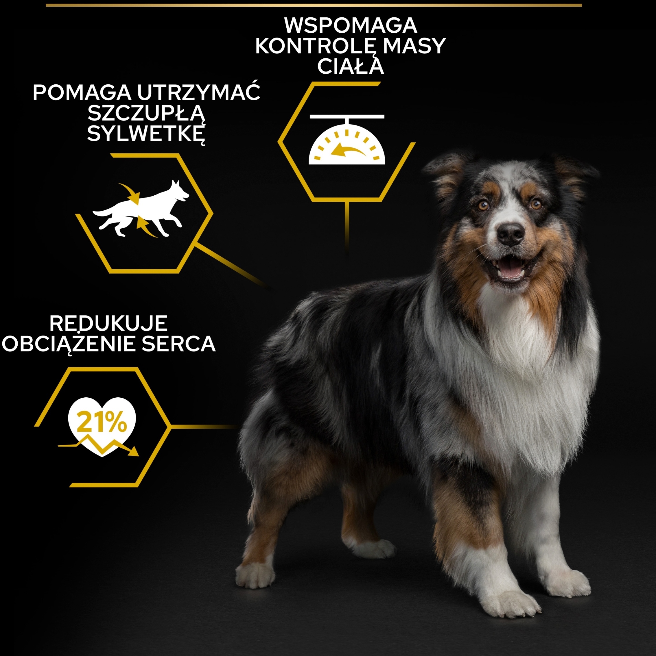 Efekt szybkiego zaspokojenia głodu dzięki błonnikowi