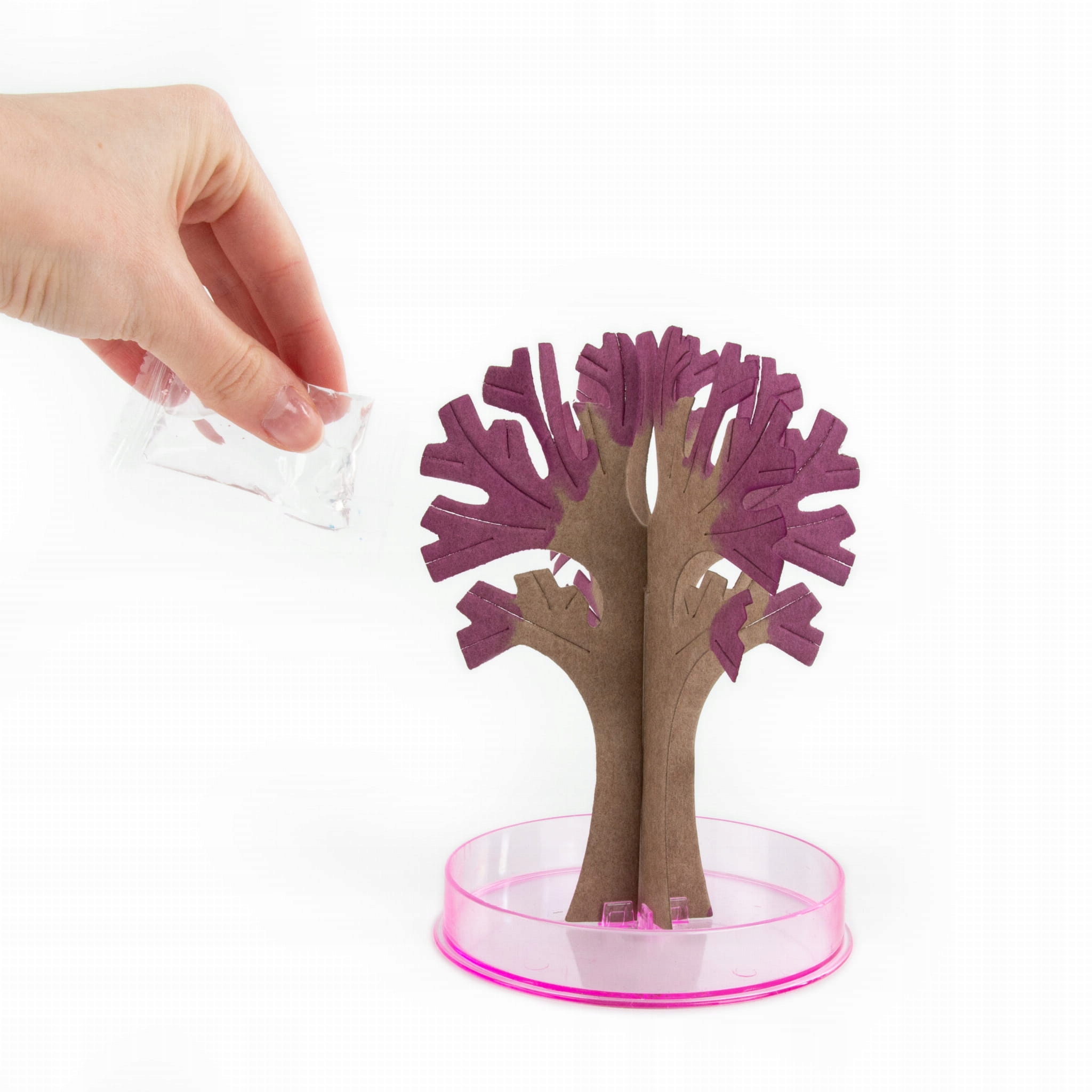 Jak działa magiczne drzewko SAKURA?