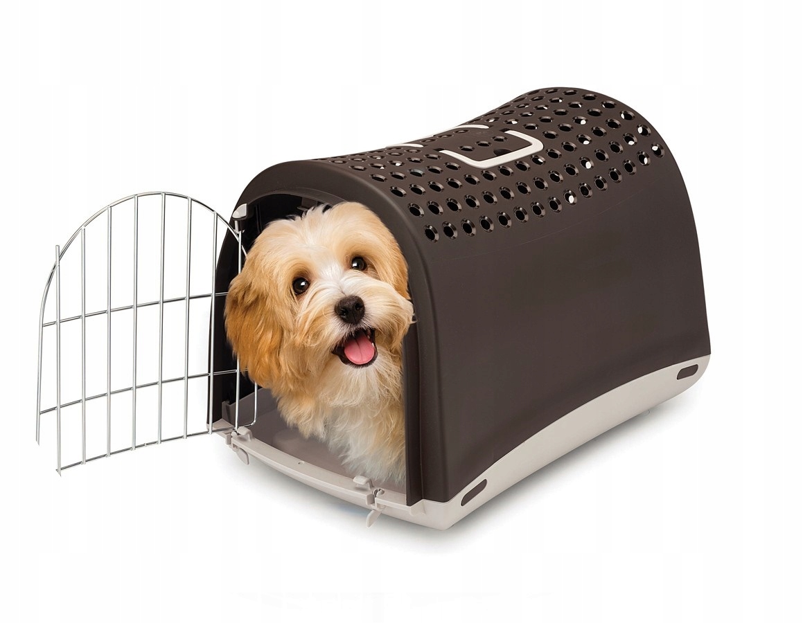 Wymiary i komfort podróży dla zwierząt