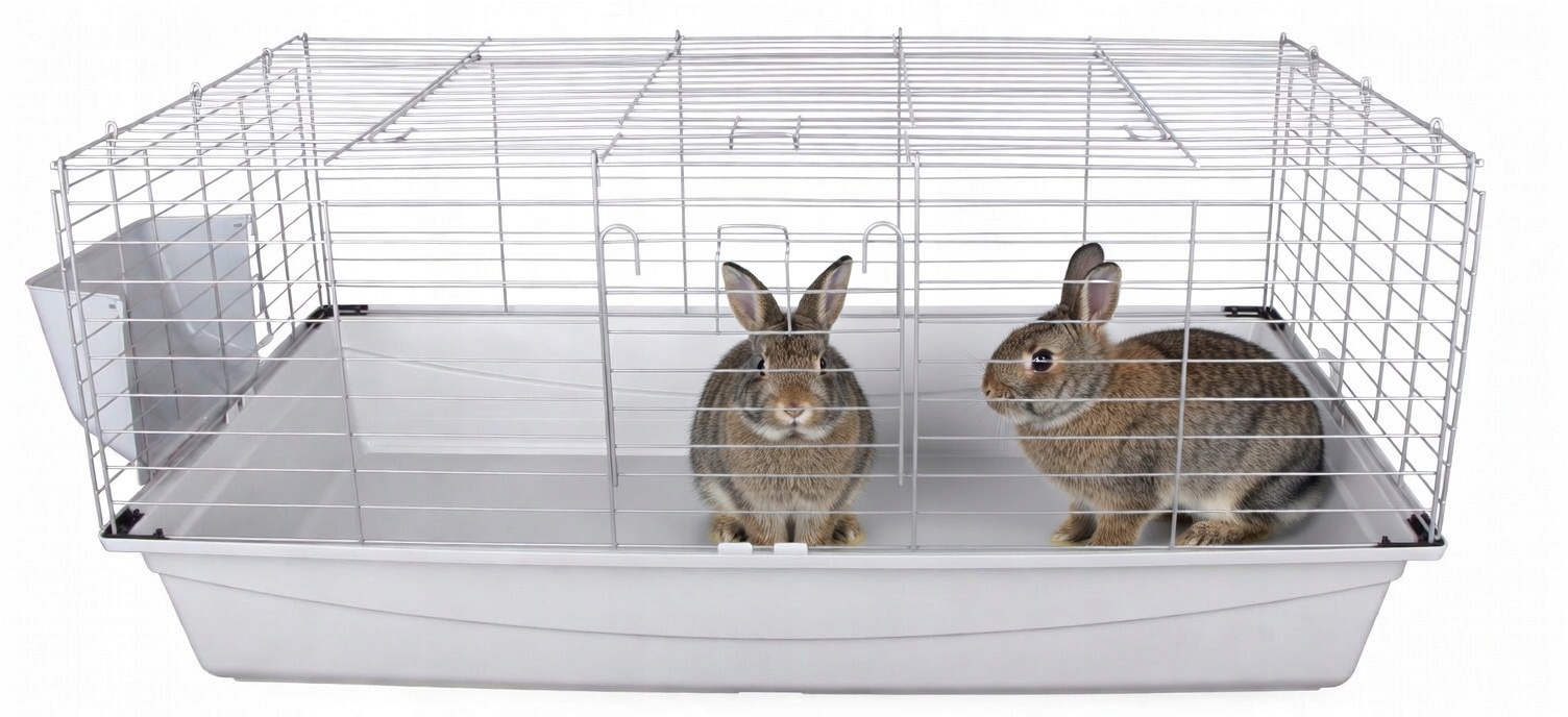 Dodatkowe akcesoria – GRATIS zewnętrzny paśnik plastikowy