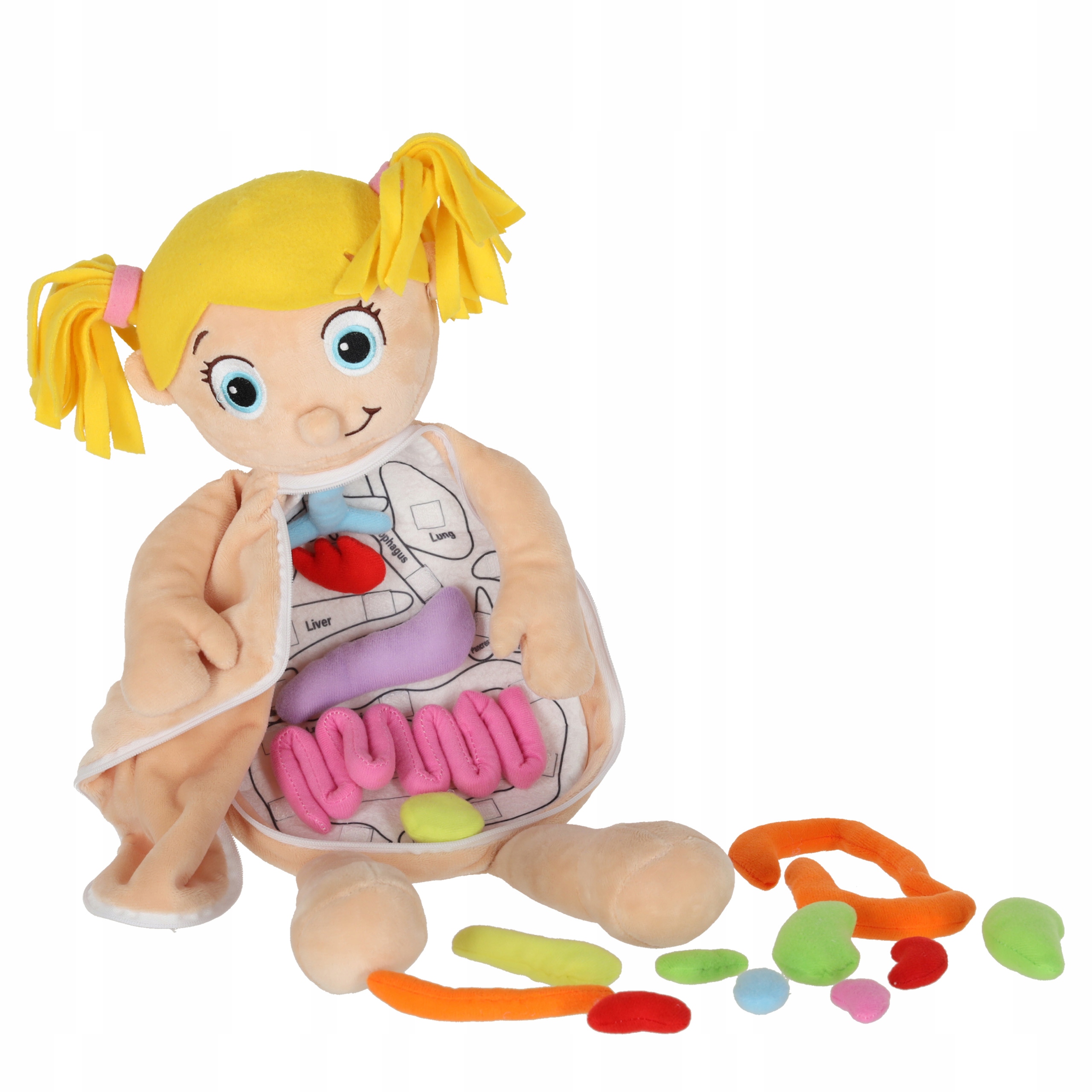 Metoda Montessori – Odkrywanie anatomii w praktyce