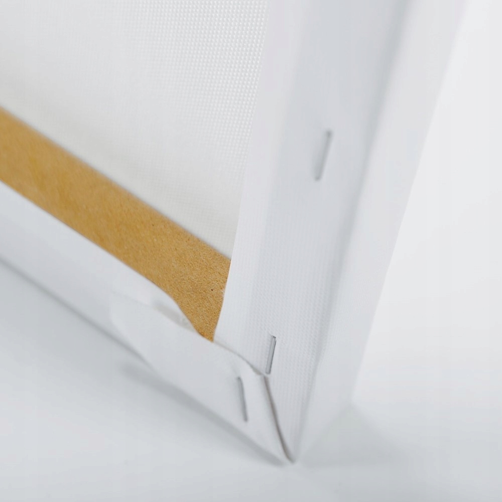 Wysokiej jakości materiał – Płótno canvas 240 g/m2