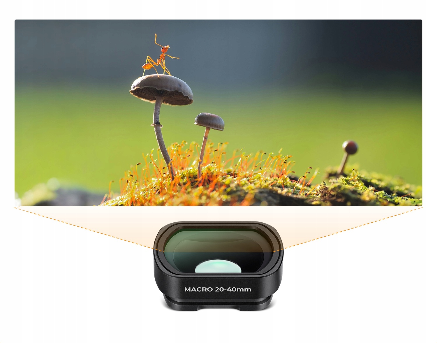 Ultra bliskie ostrzenie w zakresie 20-40 mm – Idealne do makrofotografii