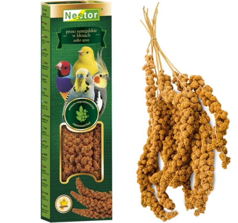 NESTOR Proso senegalskie w kłosach 55g – przysmak dla ptaków