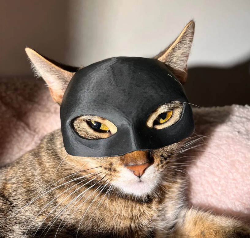 Maska dla Kota BATMAN BAT-CAT – Przebranie na Halloween dla Twojego pupila