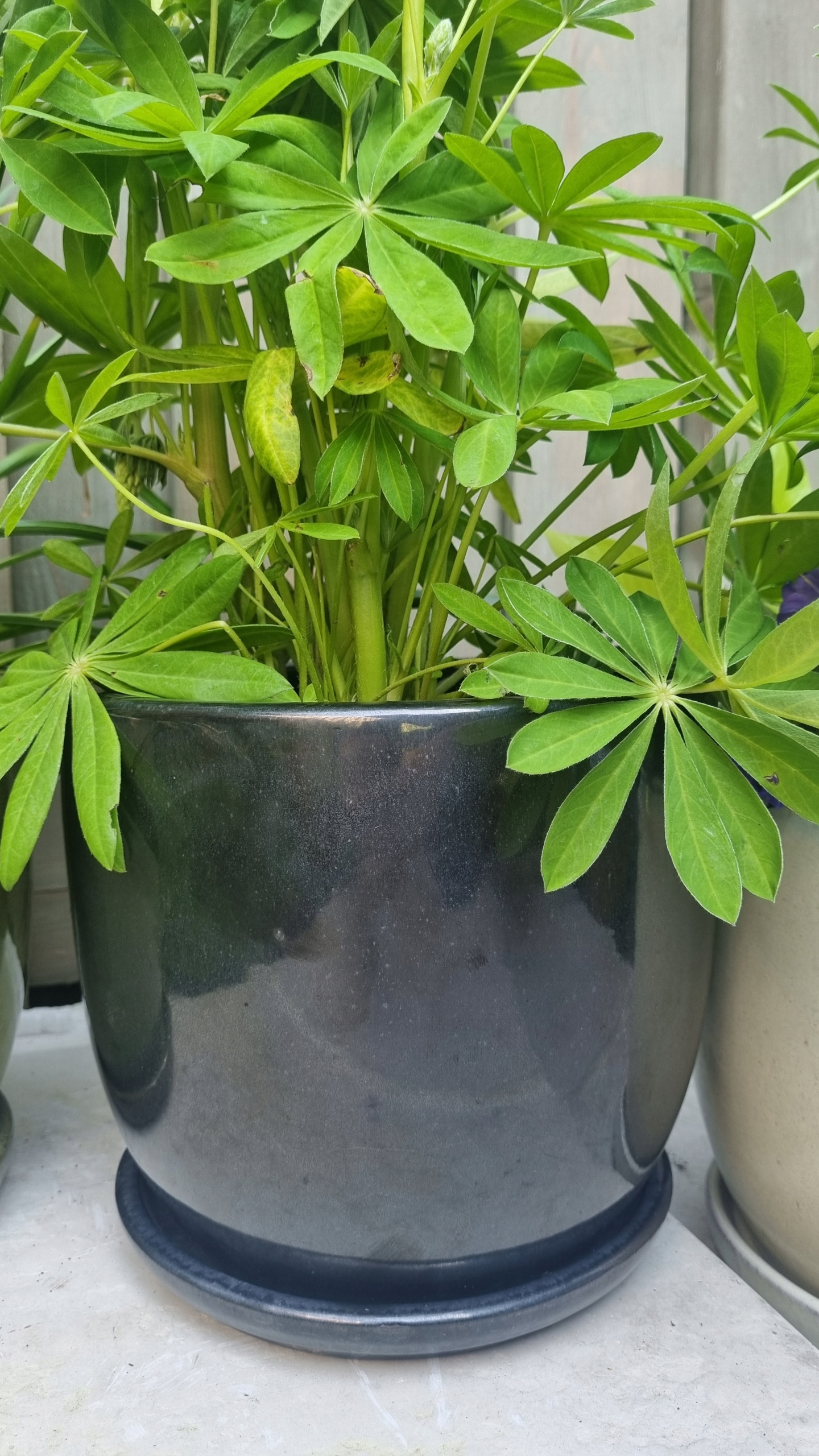 Polnix Doniczka ceramiczna z podstawką grafitowa minimalistyczna 31x27cm – Elegancja i prostota w Twoim ogrodzie