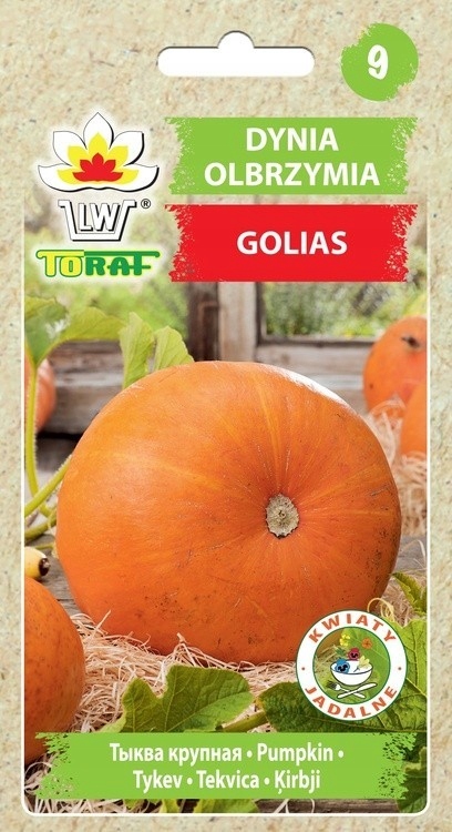 Toraf Nasiona warzyw | Dynia Olbrzymia Golias – Idealna do Twojego ogrodu