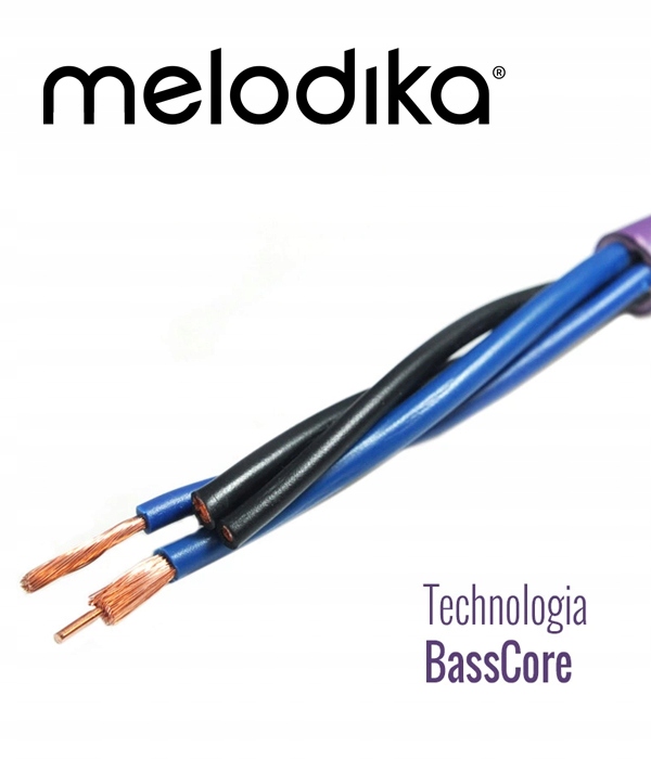 Technologia BassCore – Dynamiczny i precyzyjny dźwięk