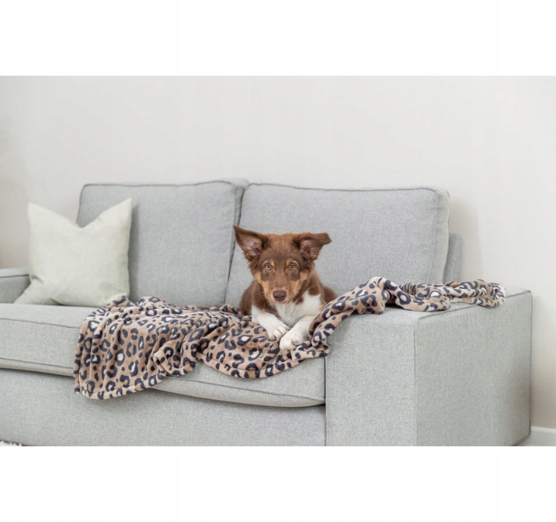 Wygodne wymiary 70x50 cm – Idealne dla małych i średnich zwierząt