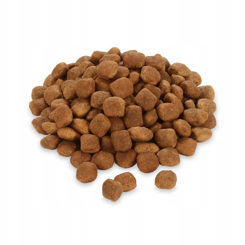 Pełnoporcjowa karma dla psów z problemami trawiennymi