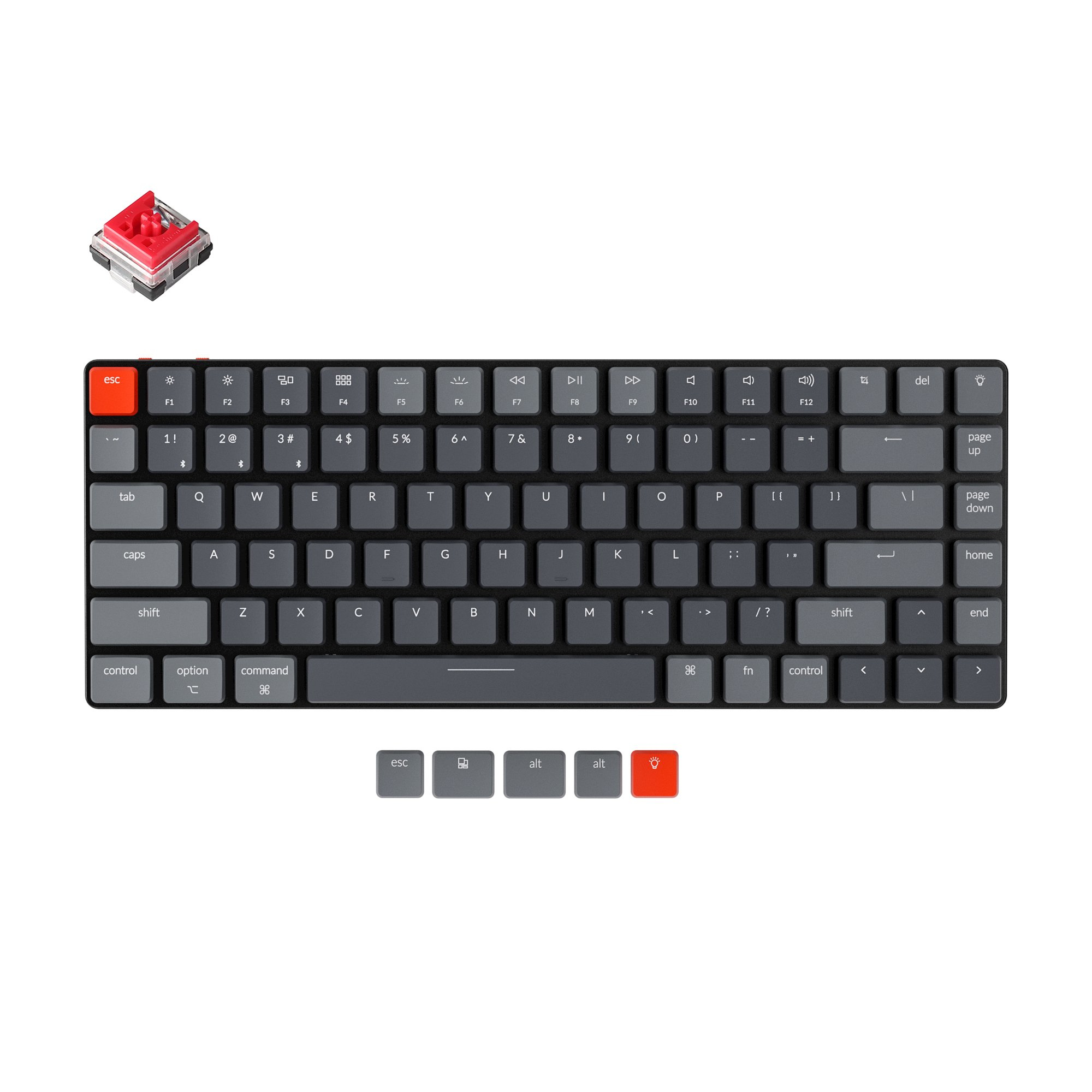Hot-swappable – łatwa wymiana przełączników