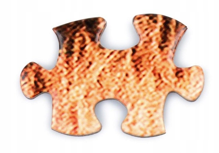 Wyjątkowe wyzwanie dla miłośników puzzli