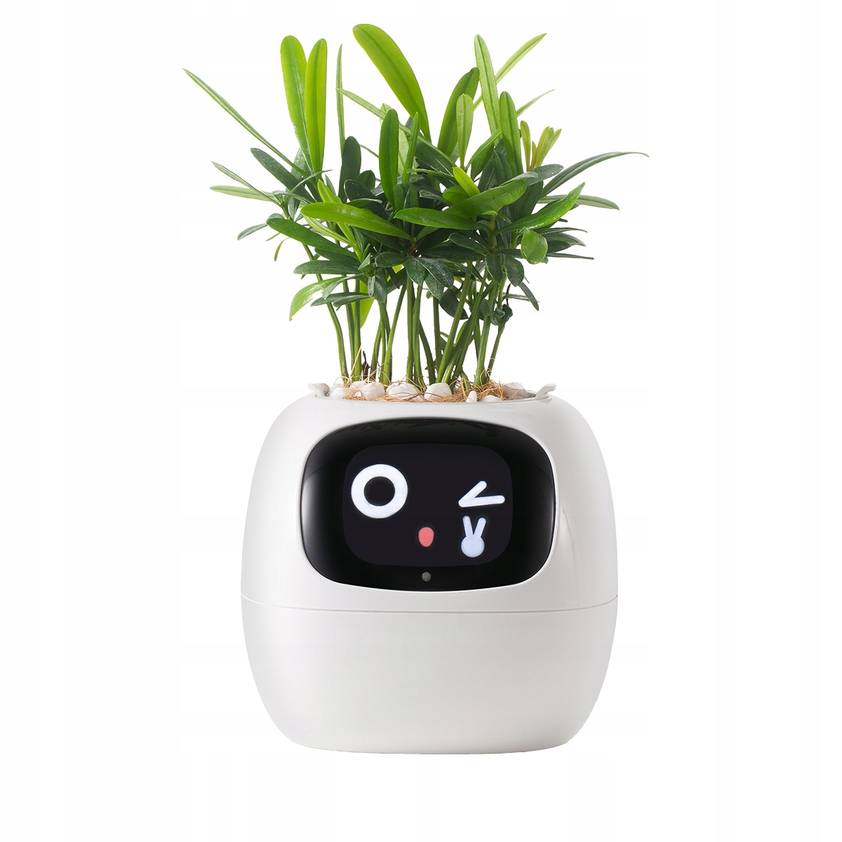 Doniczka inteligentna IVY Biała – Twój osobisty doradca w pielęgnacji roślin