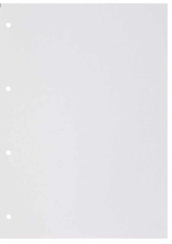 Zdejmowane kartki z dziurkami – łatwe organizowanie notatek