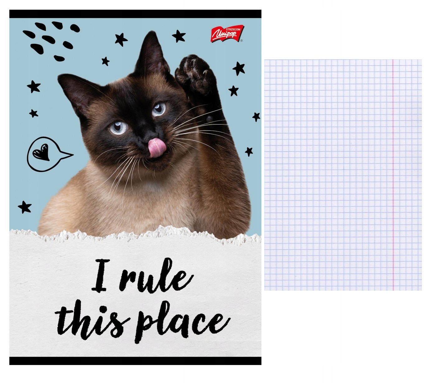 Kratka z marginesem – Ułatwienie w organizacji notatek