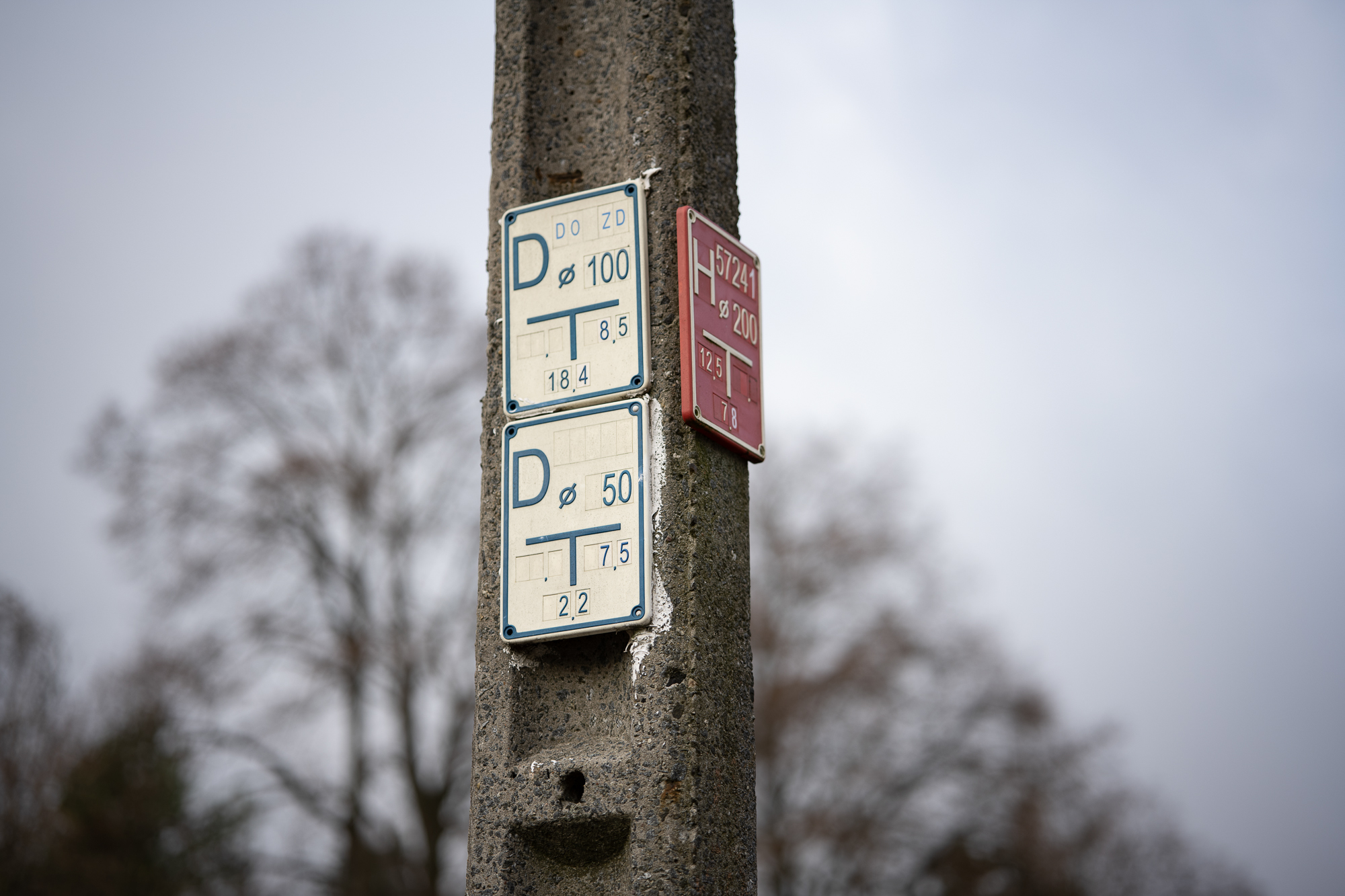 Obiektyw Voigtlander Macro APO Lanthar 65 mm f/2,0 do Nikon Z