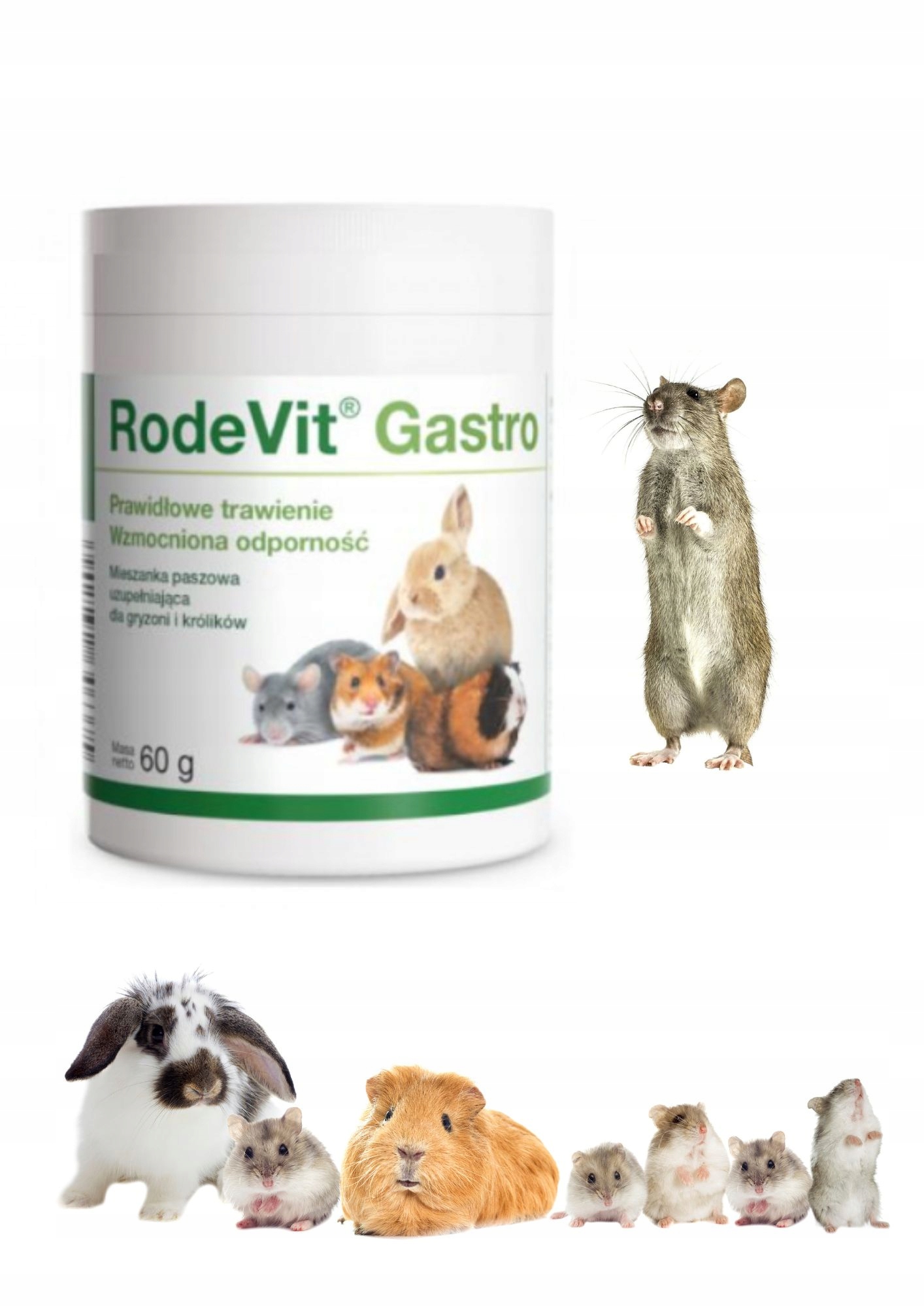 Dolvit Rodevit Gastro 60 g – Wsparcie dla zdrowia gryzoni i królików