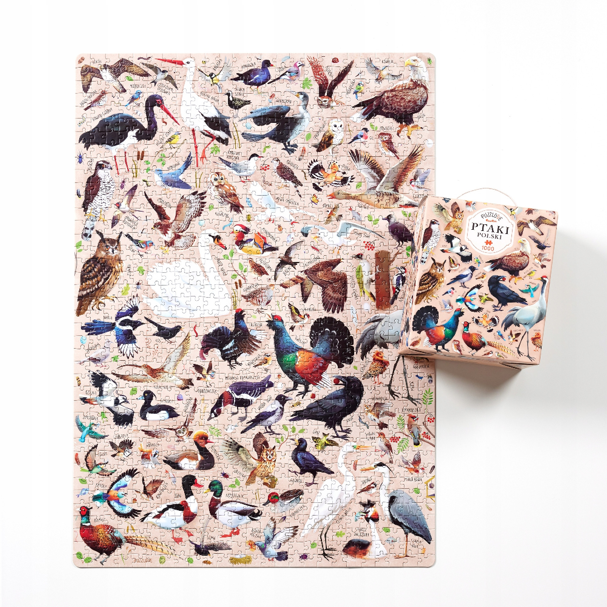 Edukacyjne walory puzzli – Poznaj polskie gatunki ptaków
