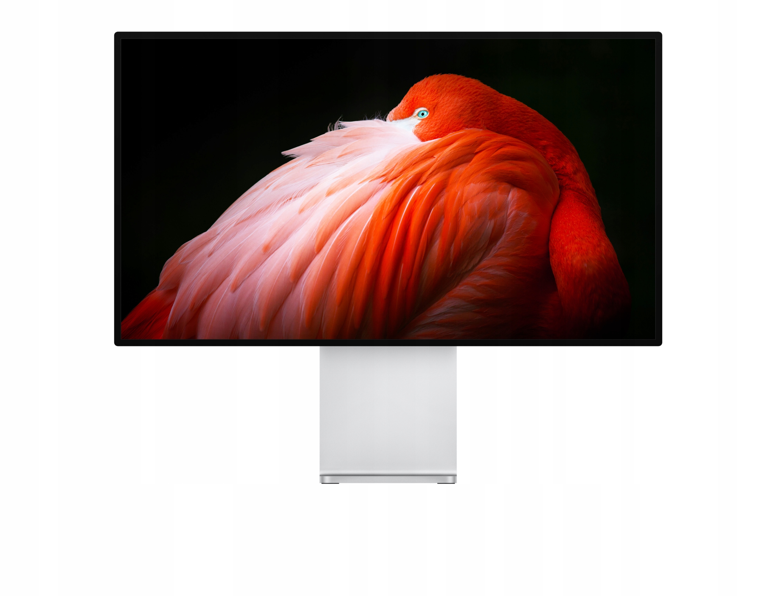 Apple Pro Display XDR 32' Retina 6K – Monitor dla profesjonalistów