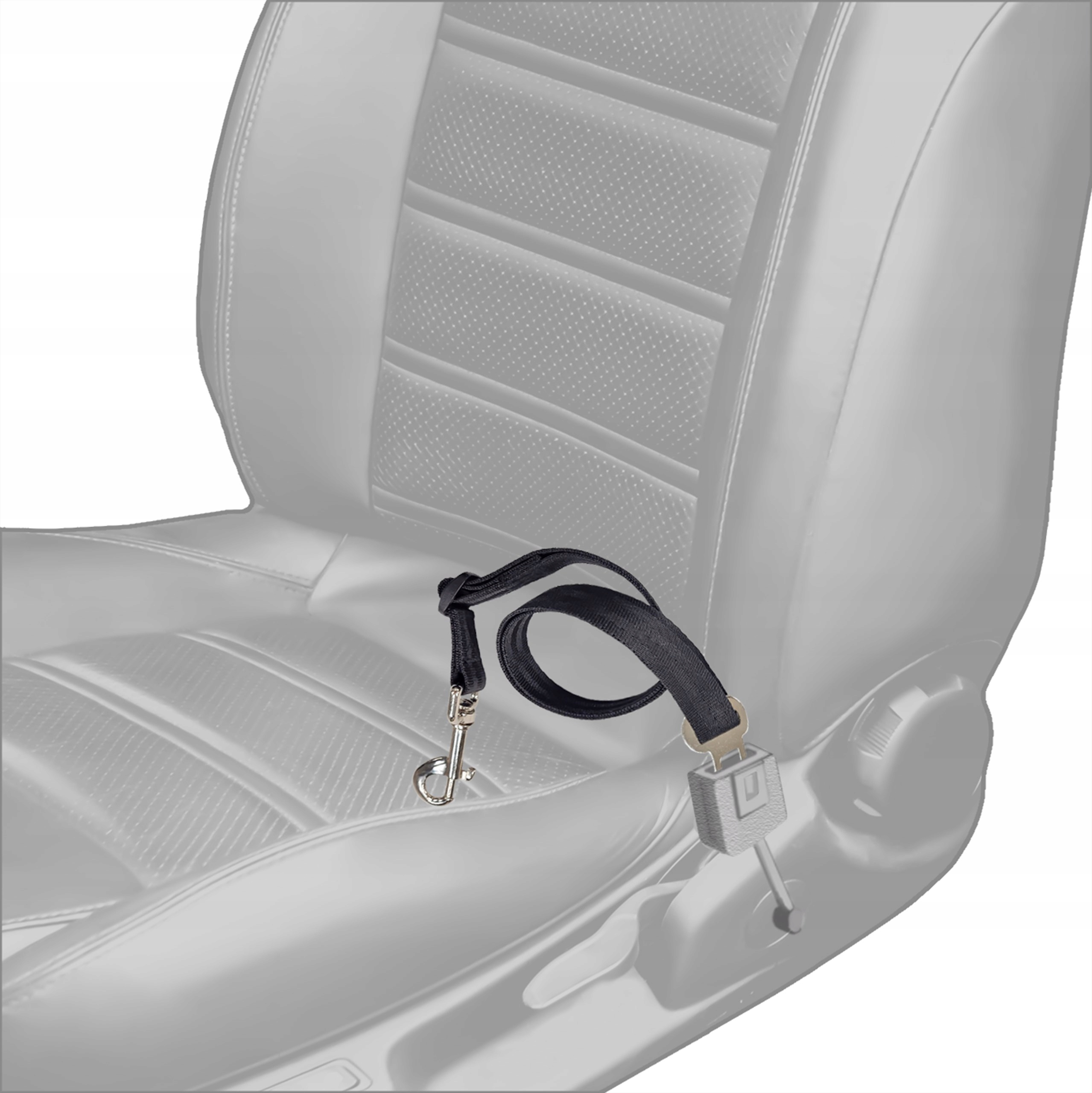 Utrzymanie psa w bezpiecznej pozycji podczas jazdy