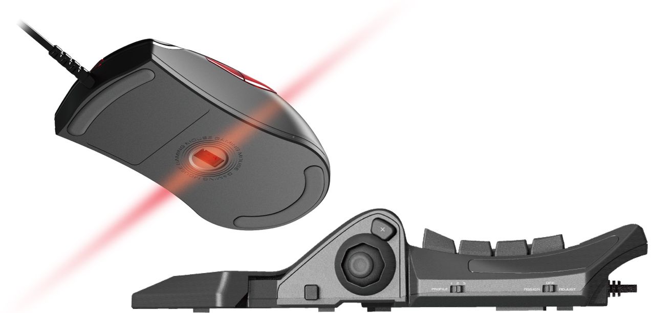 Najważniejsze cechy