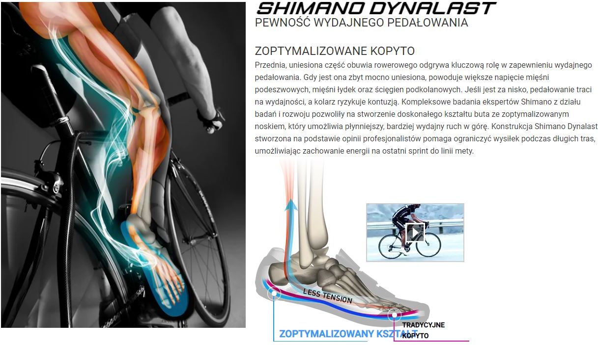 Shimano_Dynalast.JPG?v=1604308374328
