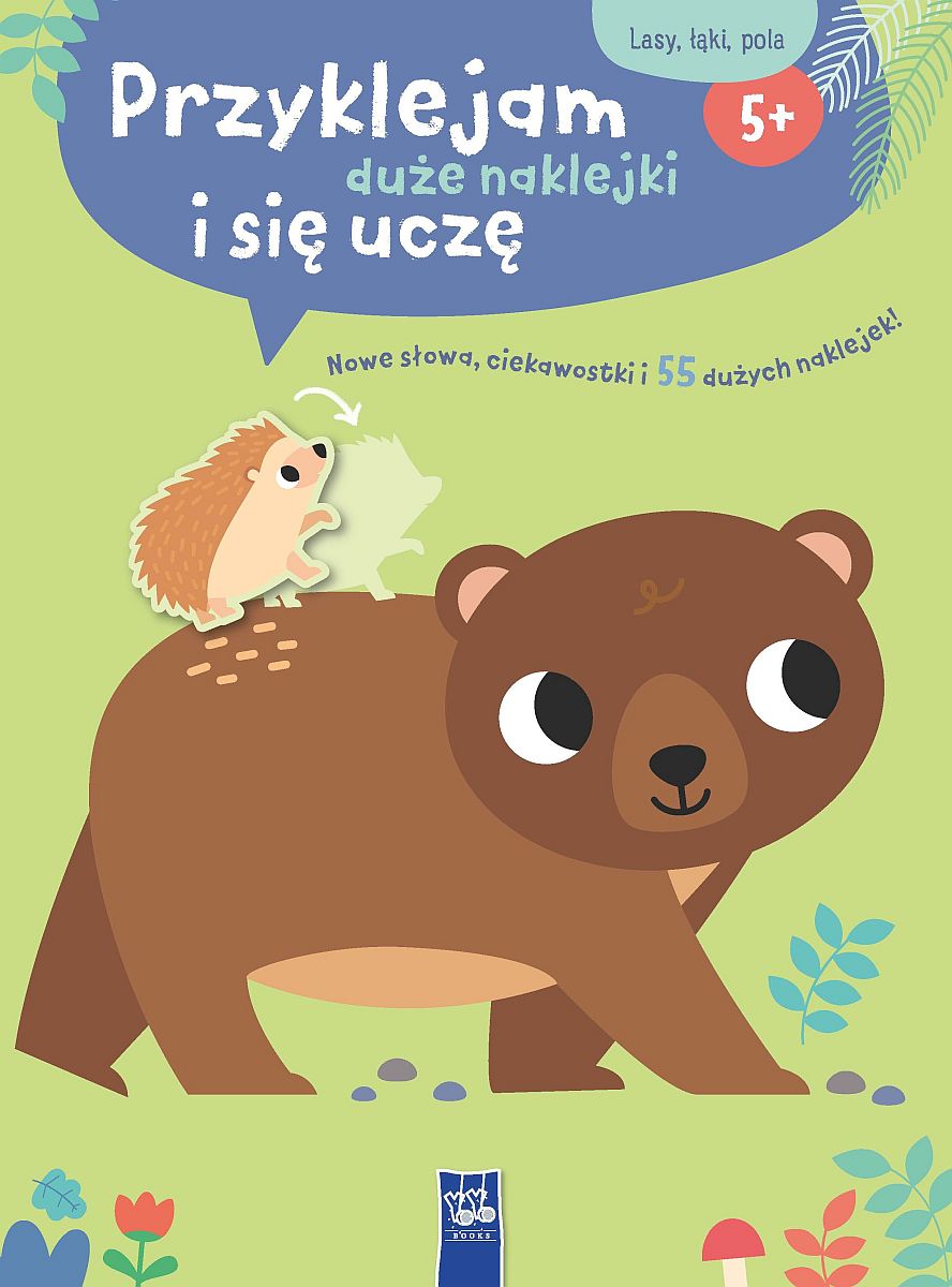 Wydanie i format książki – Idealne dla małych odkrywców