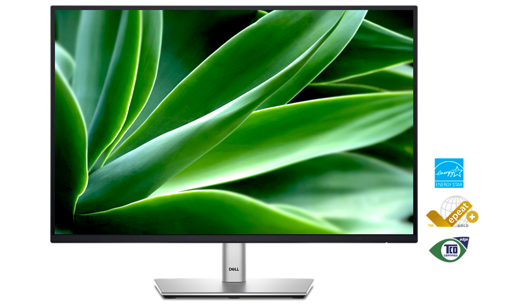 Dell P Series P2425E – Komputer z monitorem o wysokiej wydajności