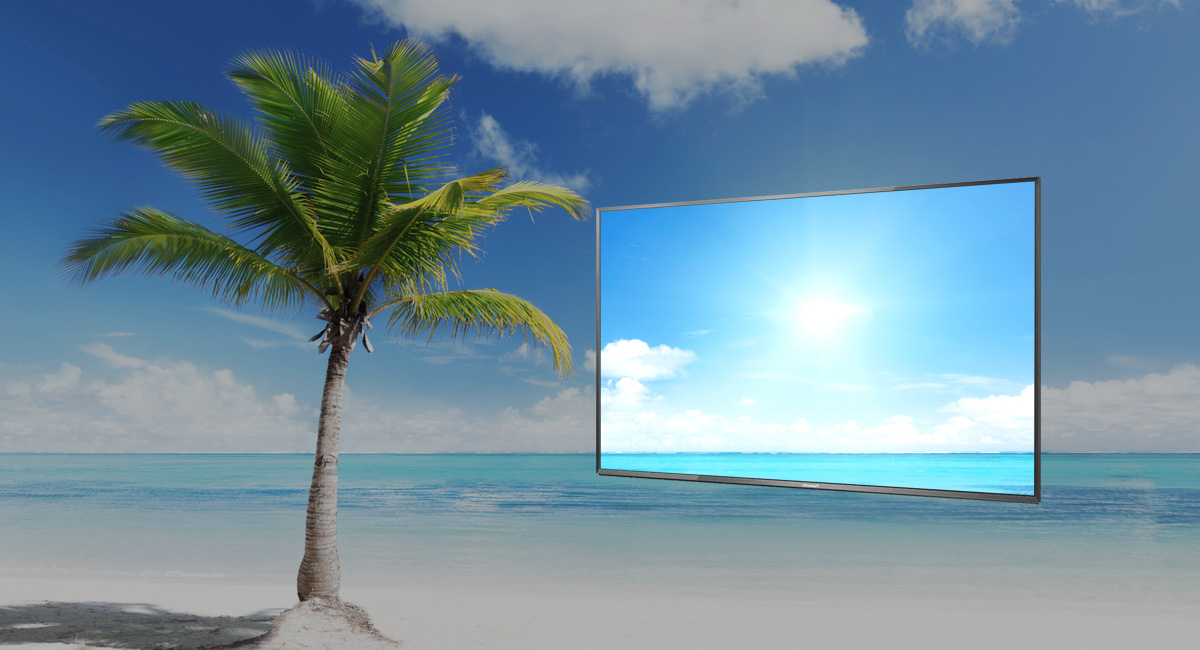 Bright Panel Plus Bright Panel Plus