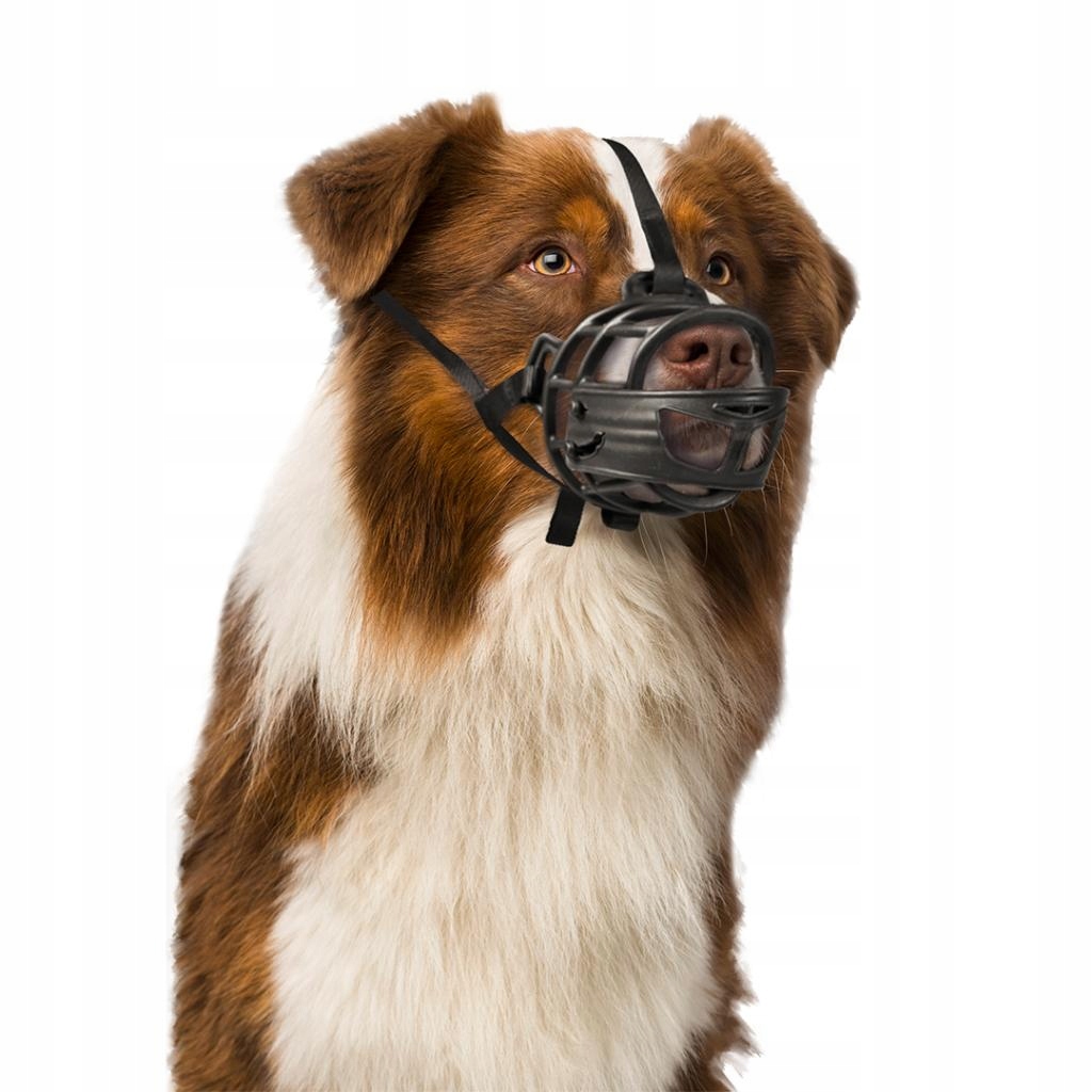 Duvo+ Kaganiec Dog Muzzle Rubber 'S' – Bezpieczny wybór dla Twojego pupila